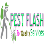 PEST FLASH Fumigation and Pest Control Services in Nairobi Kenya